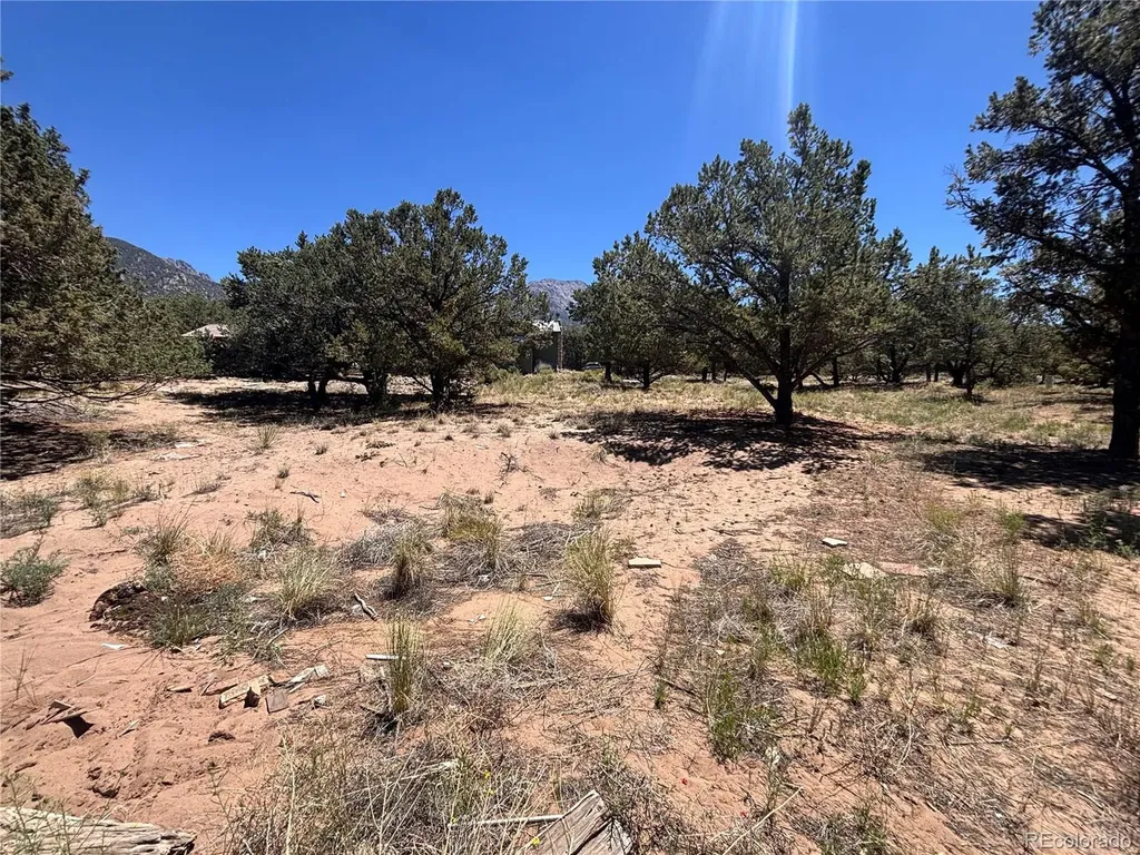 360 Camino Baca Grande Crestone CO 81131