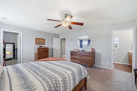 6205 Wescroft Avenue Castle Rock CO 80104
