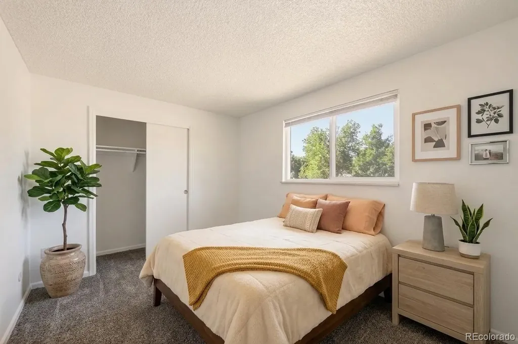 448 Neptune Court Lone Tree CO 80124