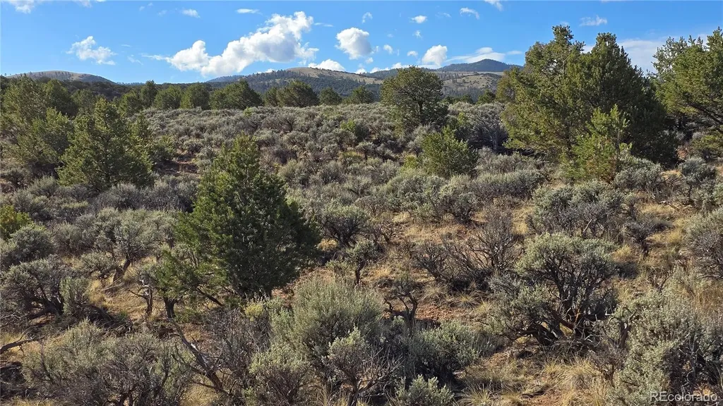 Lot 7340 Sweaney Road Fort Garland CO 81133