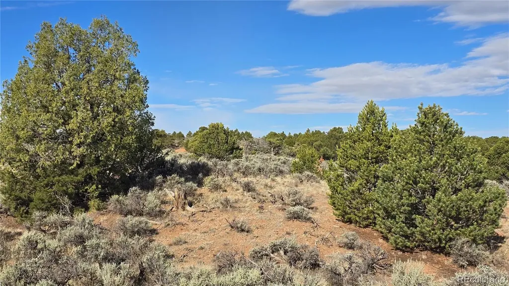 Lot 7340 Sweaney Road Fort Garland CO 81133