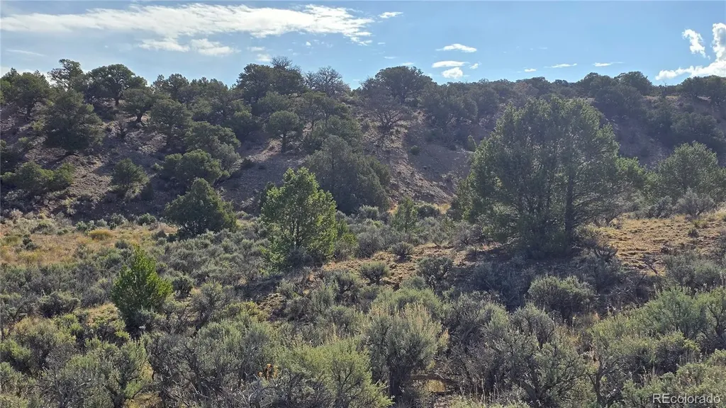 Lot 7340 Sweaney Road Fort Garland CO 81133