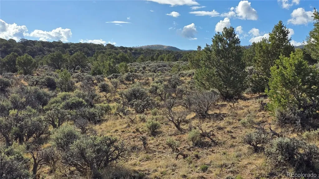 Lot 7340 Sweaney Road Fort Garland CO 81133