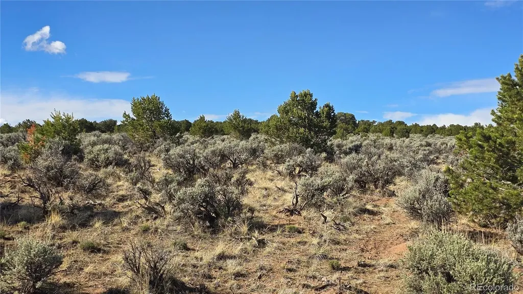 Lot 7340 Sweaney Road Fort Garland CO 81133