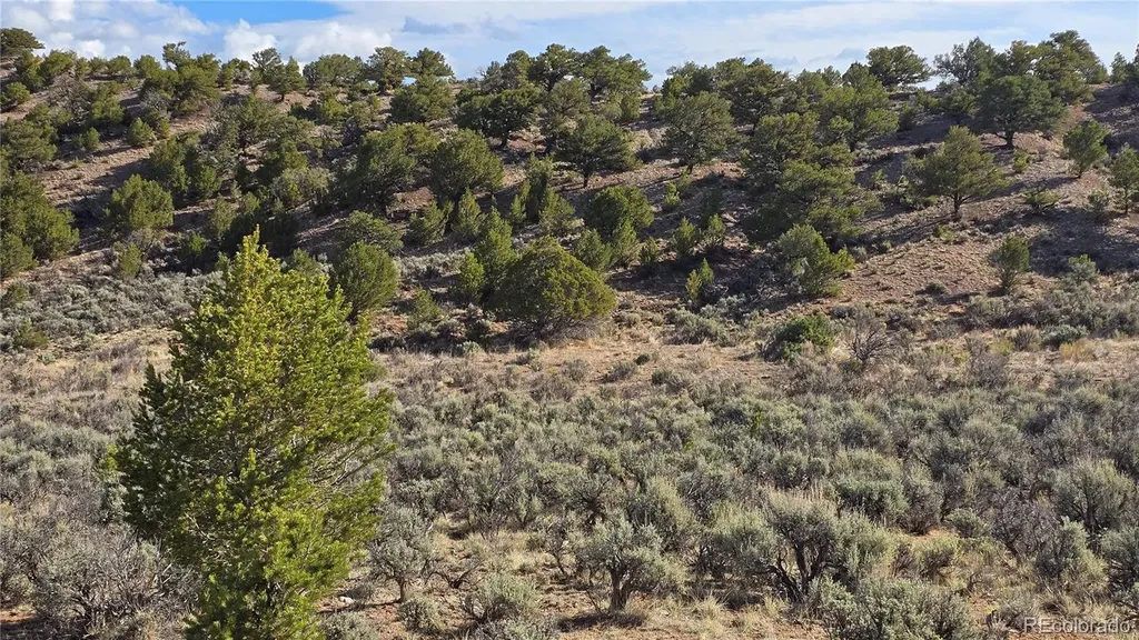 Lot 7340 Sweaney Road Fort Garland CO 81133