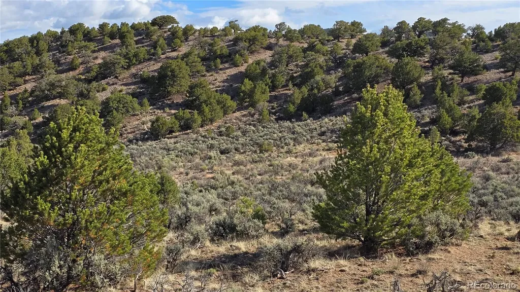 Lot 7340 Sweaney Road Fort Garland CO 81133