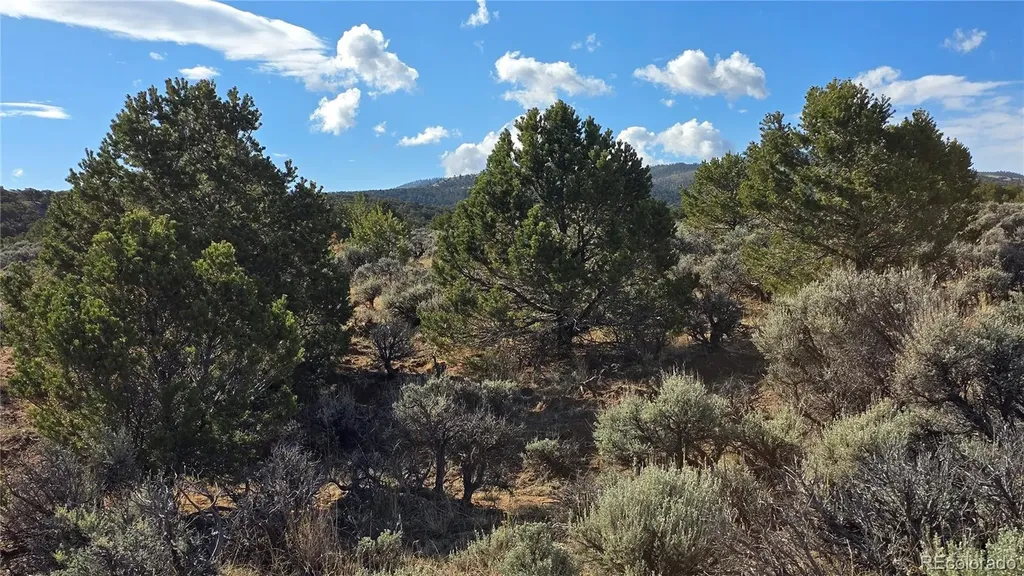 Lot 7340 Sweaney Road Fort Garland CO 81133