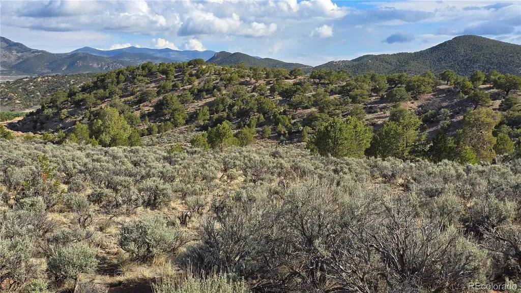 Lot 7340 Sweaney Road Fort Garland CO 81133