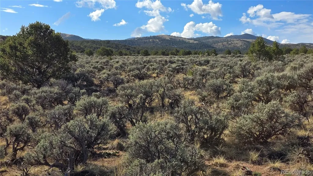 Lot 7340 Sweaney Road Fort Garland CO 81133