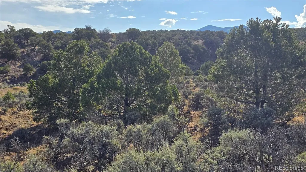 Lot 7340 Sweaney Road Fort Garland CO 81133