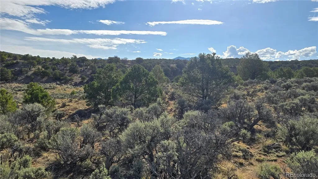 Lot 7340 Sweaney Road Fort Garland CO 81133