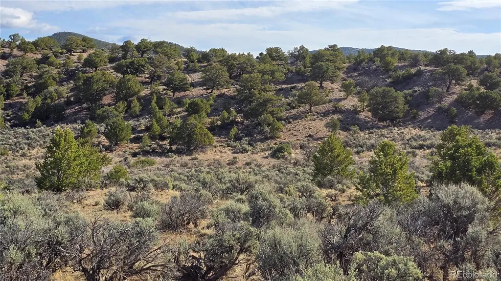 Lot 7340 Sweaney Road Fort Garland CO 81133