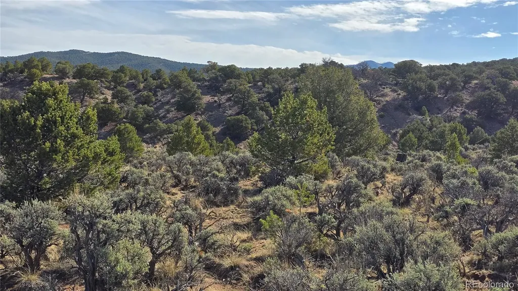 Lot 7340 Sweaney Road Fort Garland CO 81133