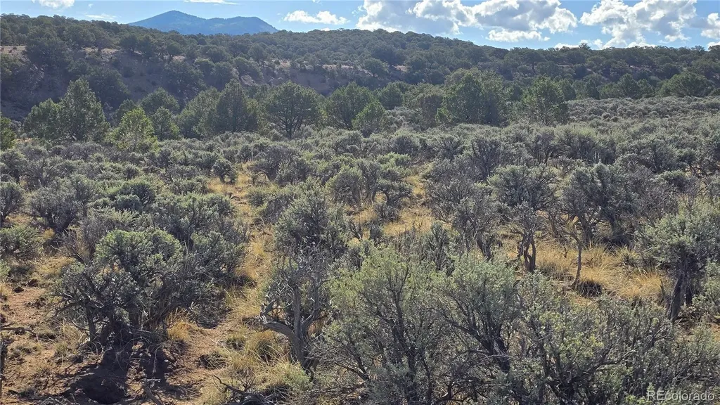 Lot 7340 Sweaney Road Fort Garland CO 81133