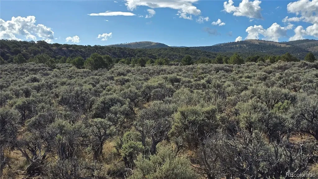 Lot 7340 Sweaney Road Fort Garland CO 81133