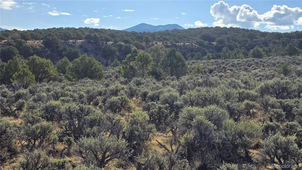Lot 7340 Sweaney Road Fort Garland CO 81133
