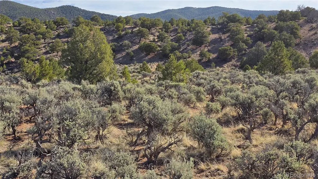 Lot 7340 Sweaney Road Fort Garland CO 81133