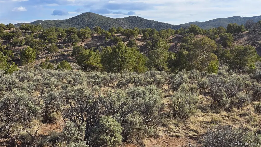 Lot 7340 Sweaney Road Fort Garland CO 81133