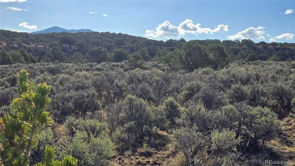 Lot 7340 Sweaney Road Fort Garland CO 81133