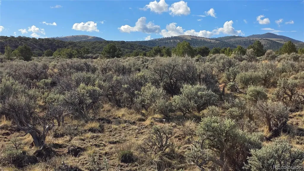 Lot 7340 Sweaney Road Fort Garland CO 81133