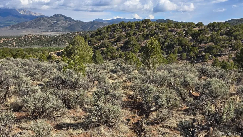 Lot 7340 Sweaney Road Fort Garland CO 81133