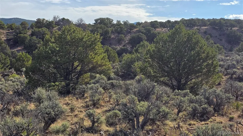 Lot 7340 Sweaney Road Fort Garland CO 81133