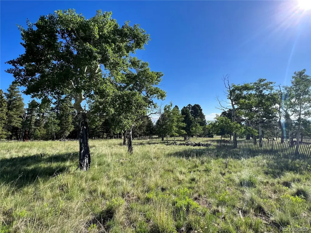 9430 Ranch Road Hartsel CO 80449