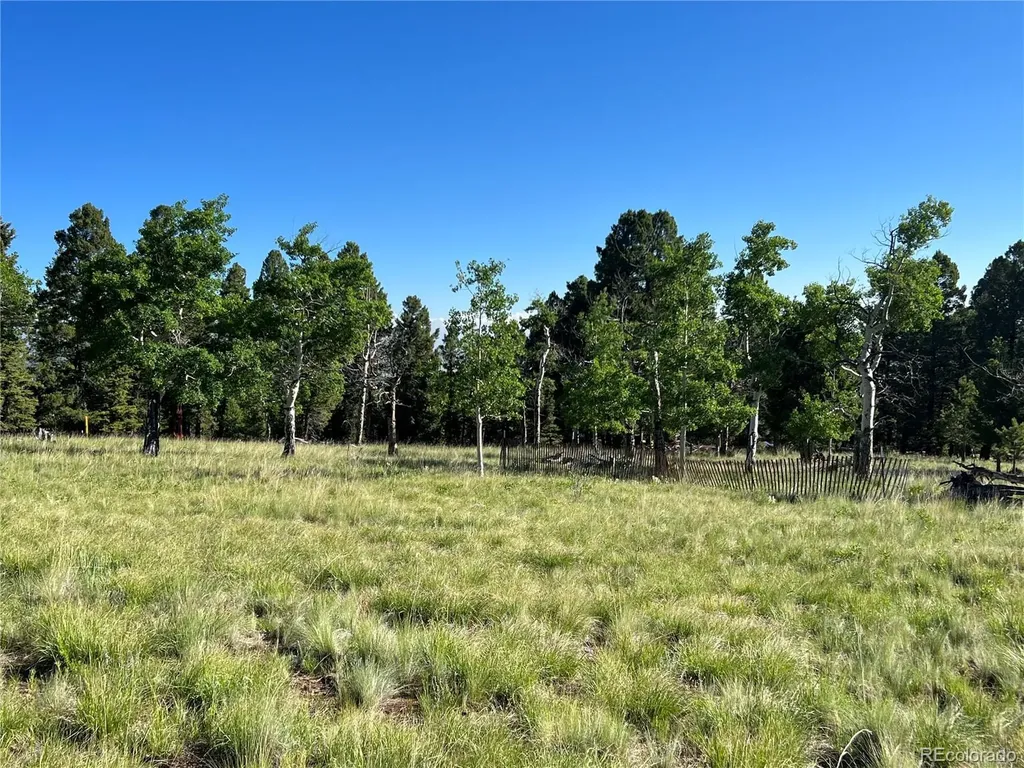 9430 Ranch Road Hartsel CO 80449