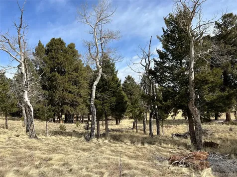 9430 Ranch Road Hartsel CO 80449