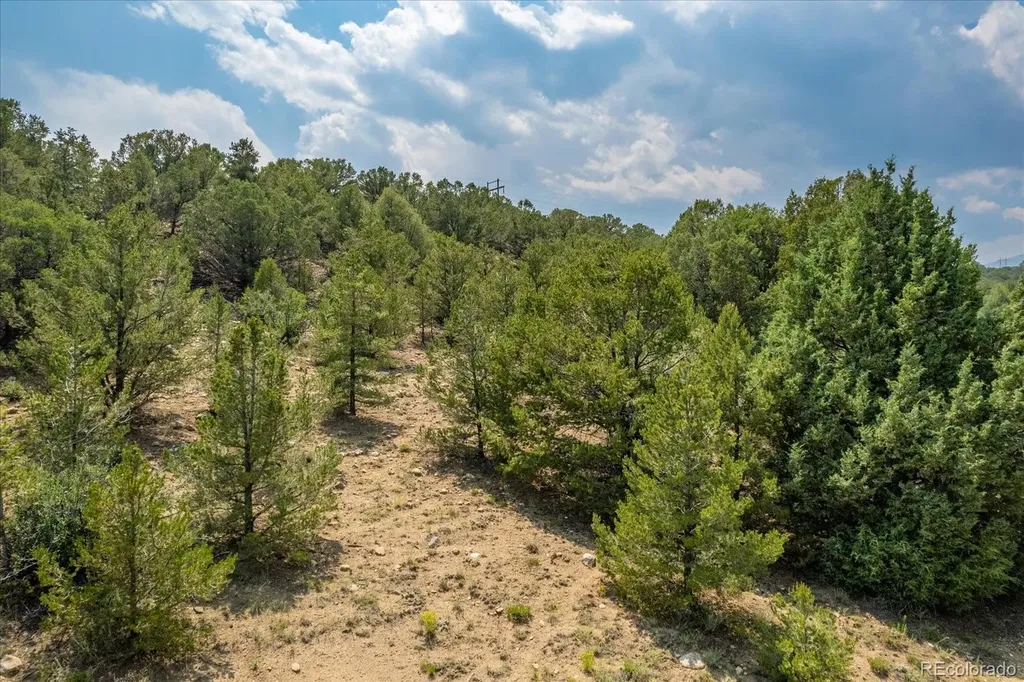7925 Cozart Lane Salida CO 81201