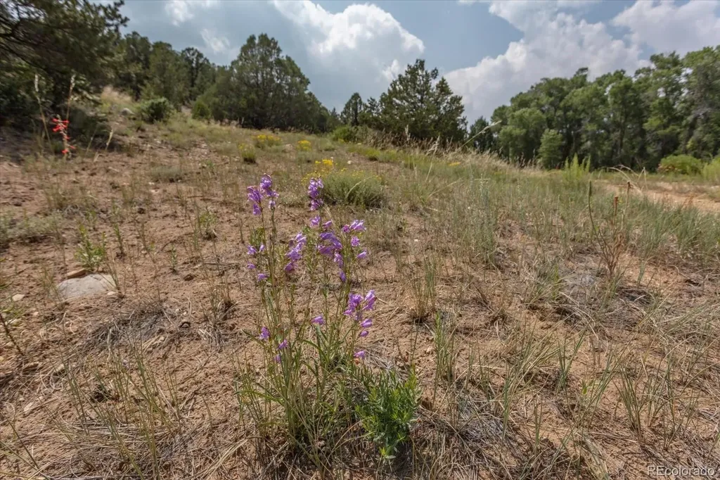 7925 Cozart Lane Salida CO 81201