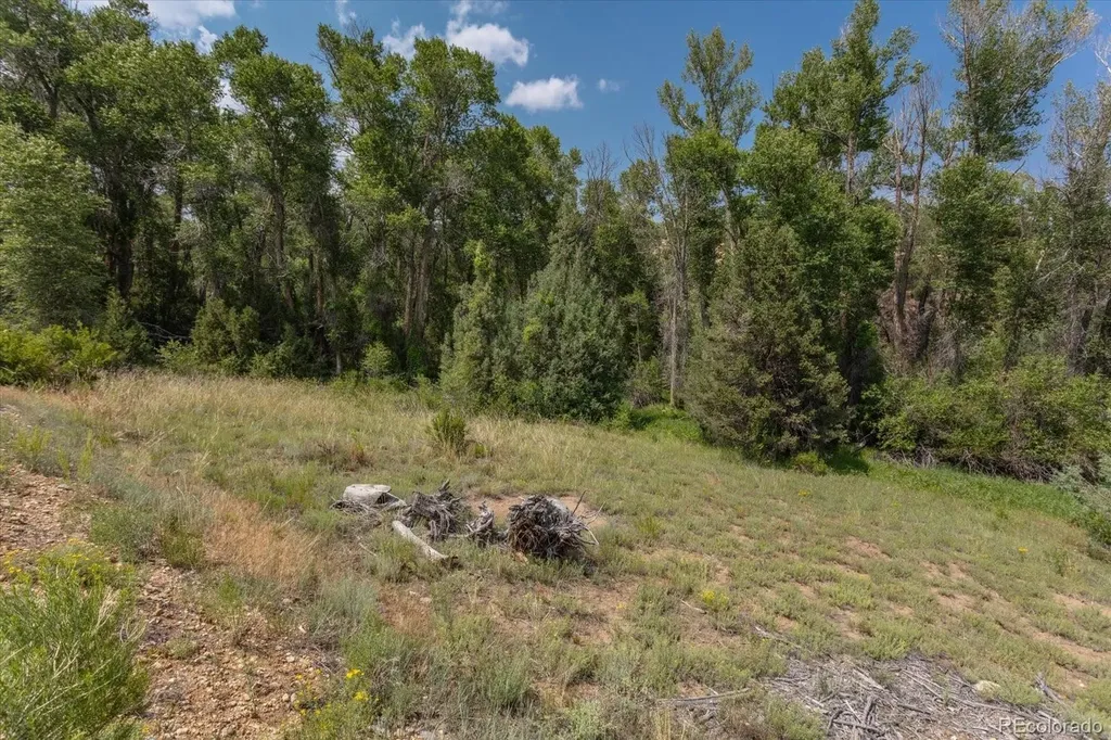 7925 Cozart Lane Salida CO 81201
