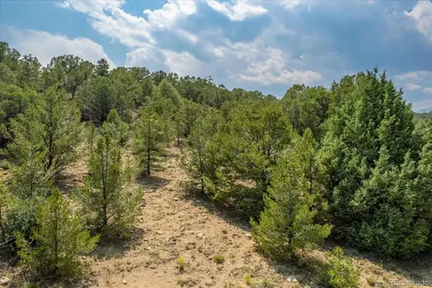 7925 Cozart Lane Salida CO 81201