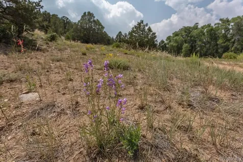 7925 Cozart Lane Salida CO 81201