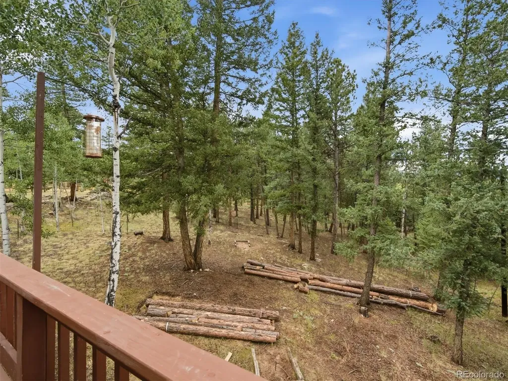 46 Bay Lane Bailey CO 80421