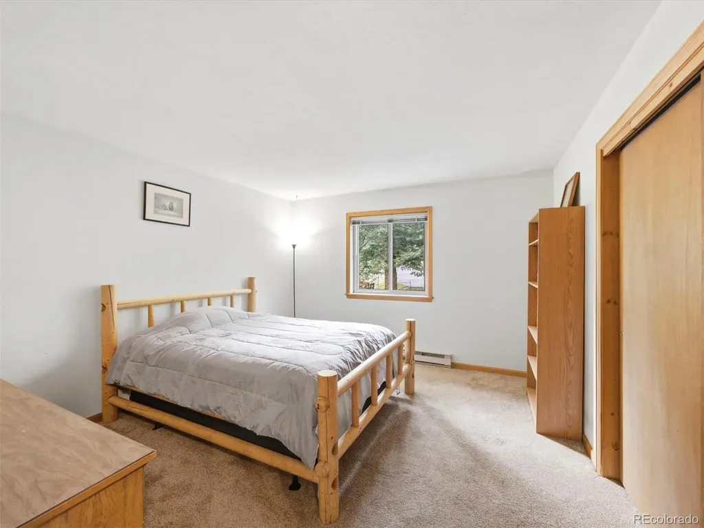 46 Bay Lane Bailey CO 80421