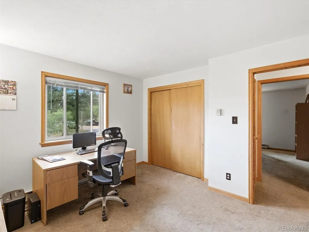 46 Bay Lane Bailey CO 80421