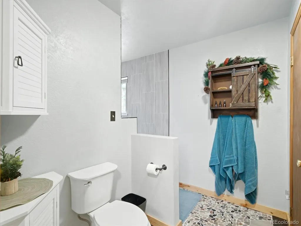 46 Bay Lane Bailey CO 80421