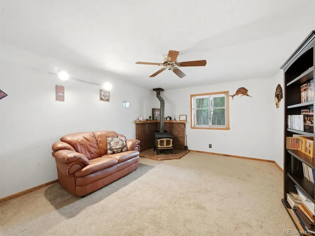 46 Bay Lane Bailey CO 80421