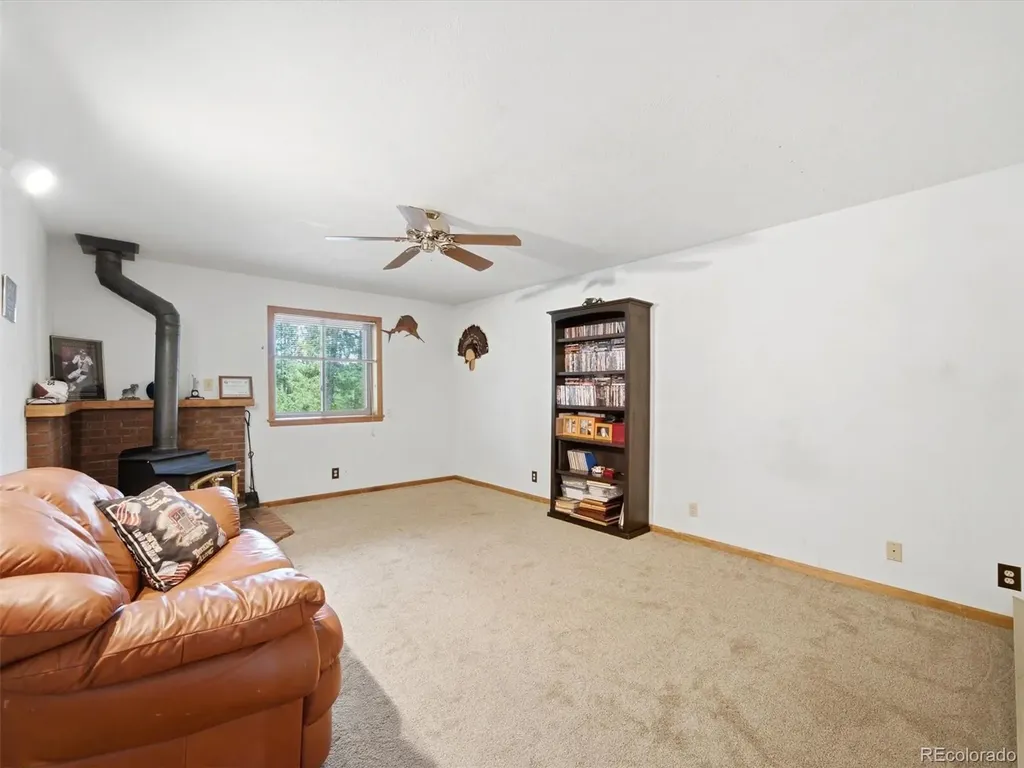 46 Bay Lane Bailey CO 80421
