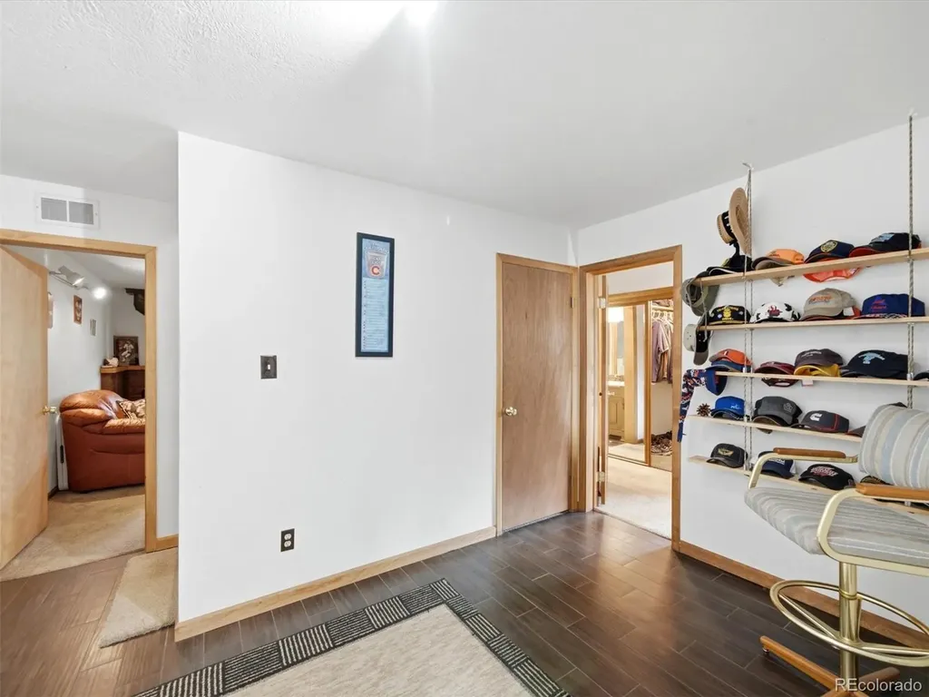 46 Bay Lane Bailey CO 80421