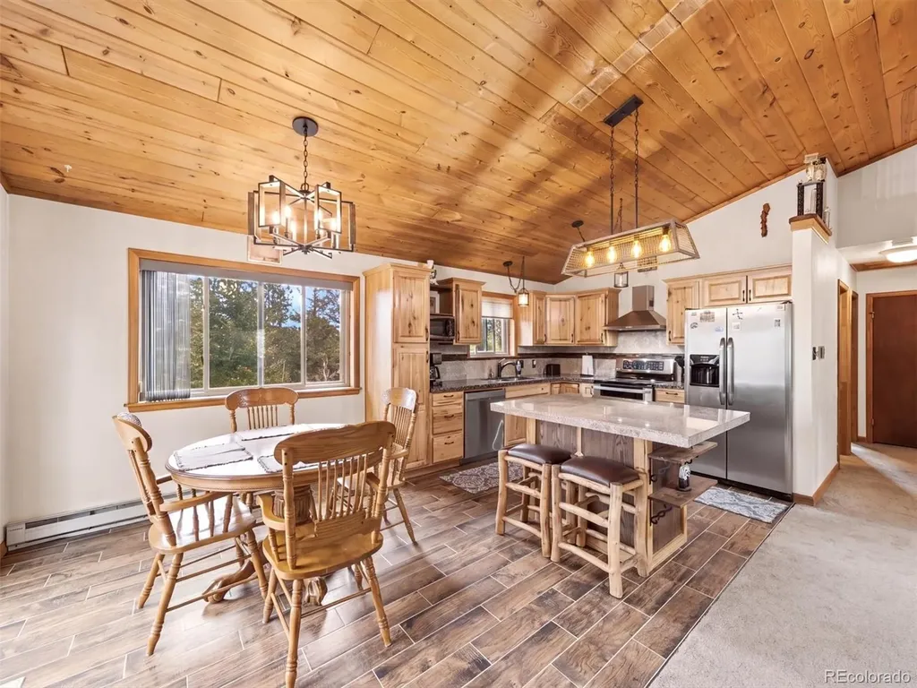 46 Bay Lane Bailey CO 80421