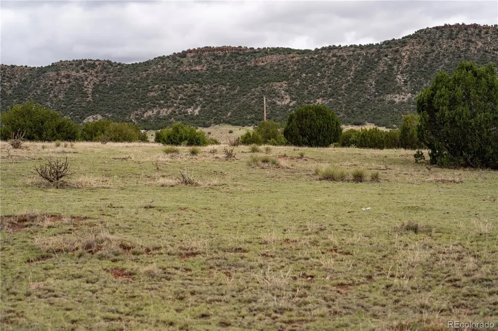 4 Lot Iron Handle Road Penrose CO 81240
