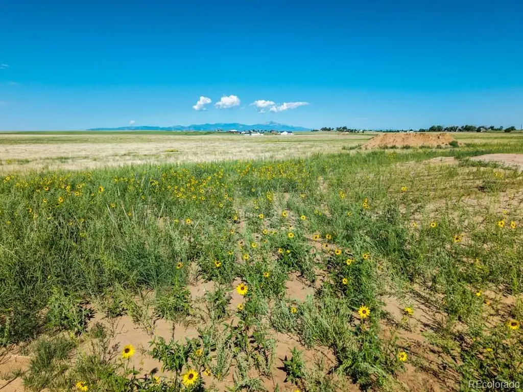 20375 Silverado Hill View Colorado Springs CO 80928