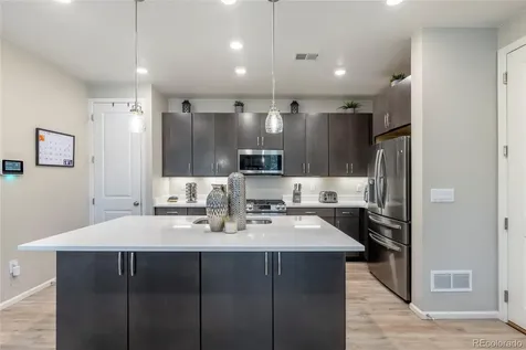 3198 Ireland Moss Street Castle Rock CO 80109
