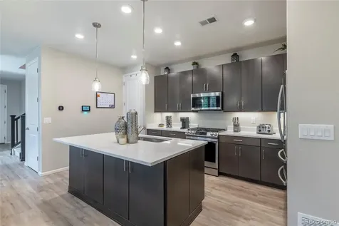 3198 Ireland Moss Street Castle Rock CO 80109