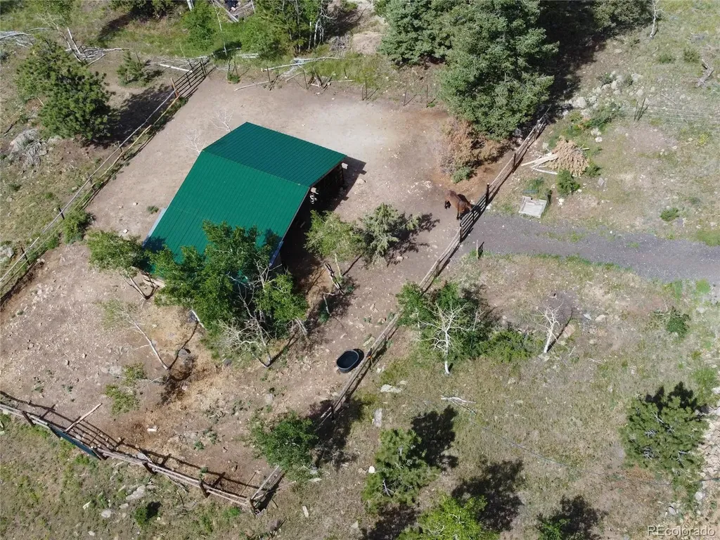 150 Summit Drive Bailey CO 80421