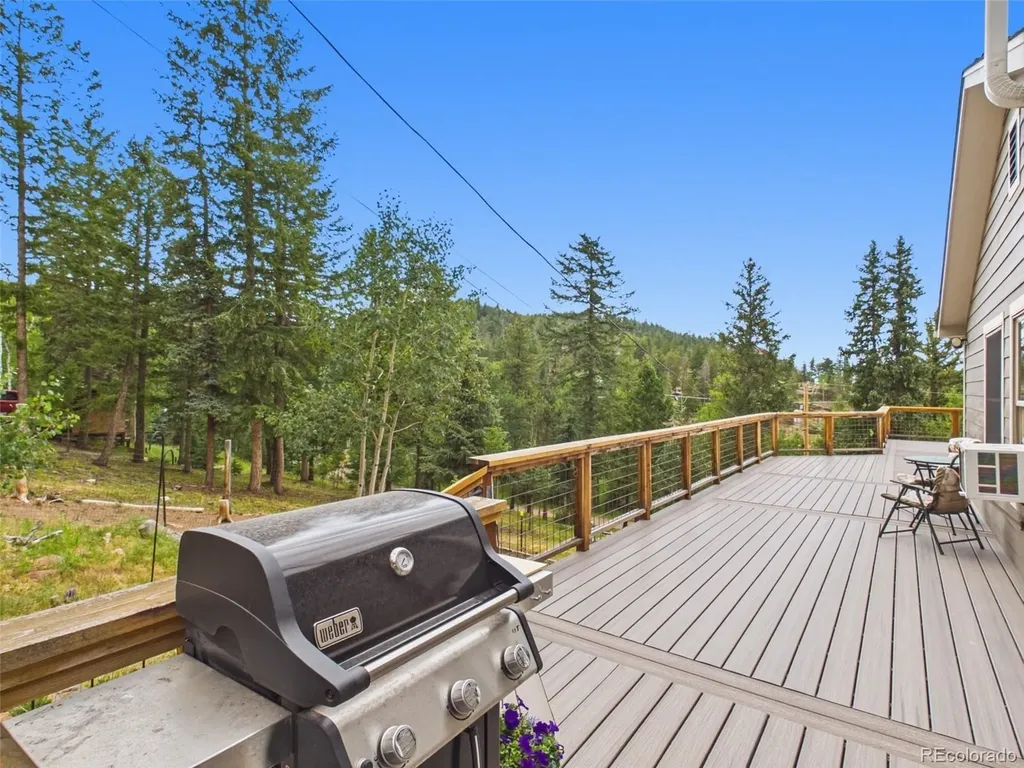 6773 Snowshoe Trail Evergreen CO 80439
