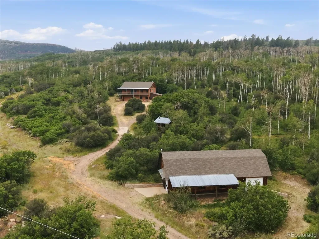 531 Buck Point Drive Carbondale CO 81623