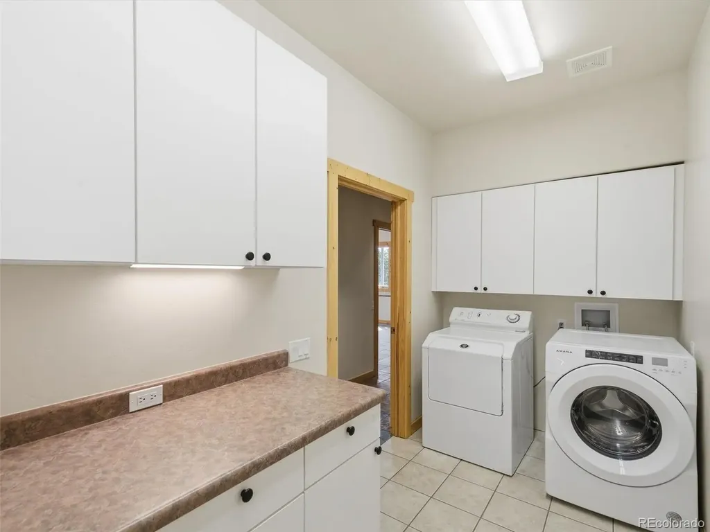 531 Buck Point Drive Carbondale CO 81623
